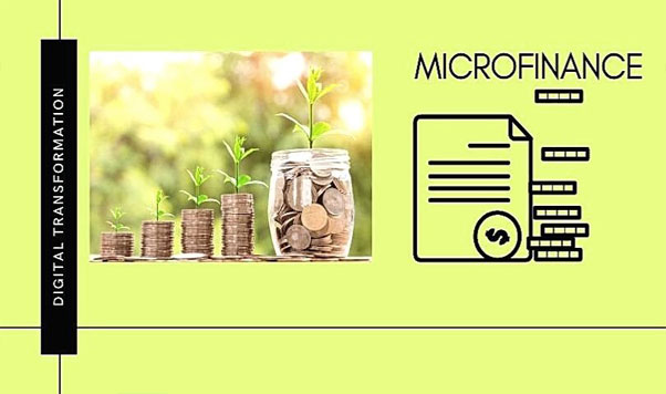 Microfinance System